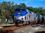 14 - Amtrak Silver Star